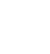Vetting Custom & Project Fit_Icon